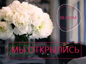 Рады Вам сообщить что мы начали свою работу 