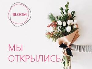 Добро пожаловать в мастерскую волшебства !