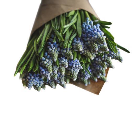 Букет "С точки зрения воздуха"