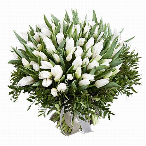 Букет «101 белый тюльпан»