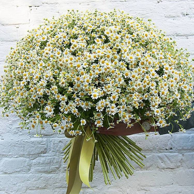 Букет "Я солнце принесу тебе в подарок"