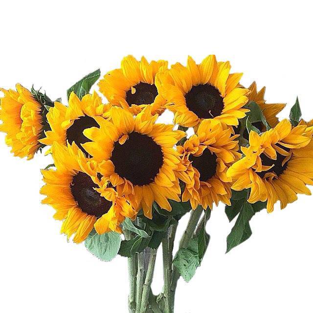 Букет "Южное солнце твоё"