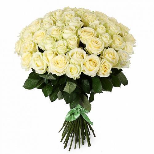 Букет из 51 розы White Naomi /60 см