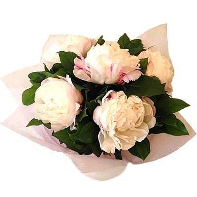 Букет из пионов 5 шт