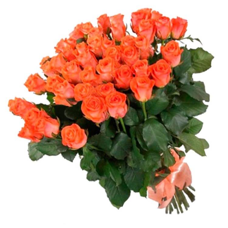 Букет из 41 розы Wow /60 см