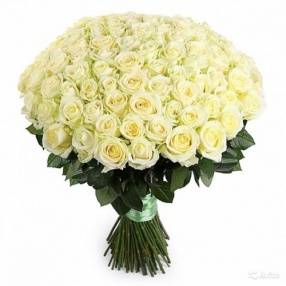 Букет из 101 розы White Naomi /60 см