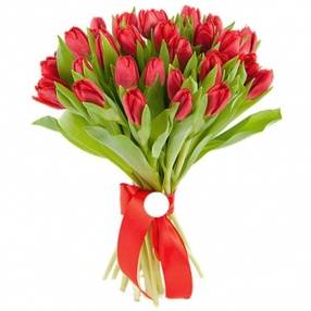 Букет из 25 красных тюльпанов 